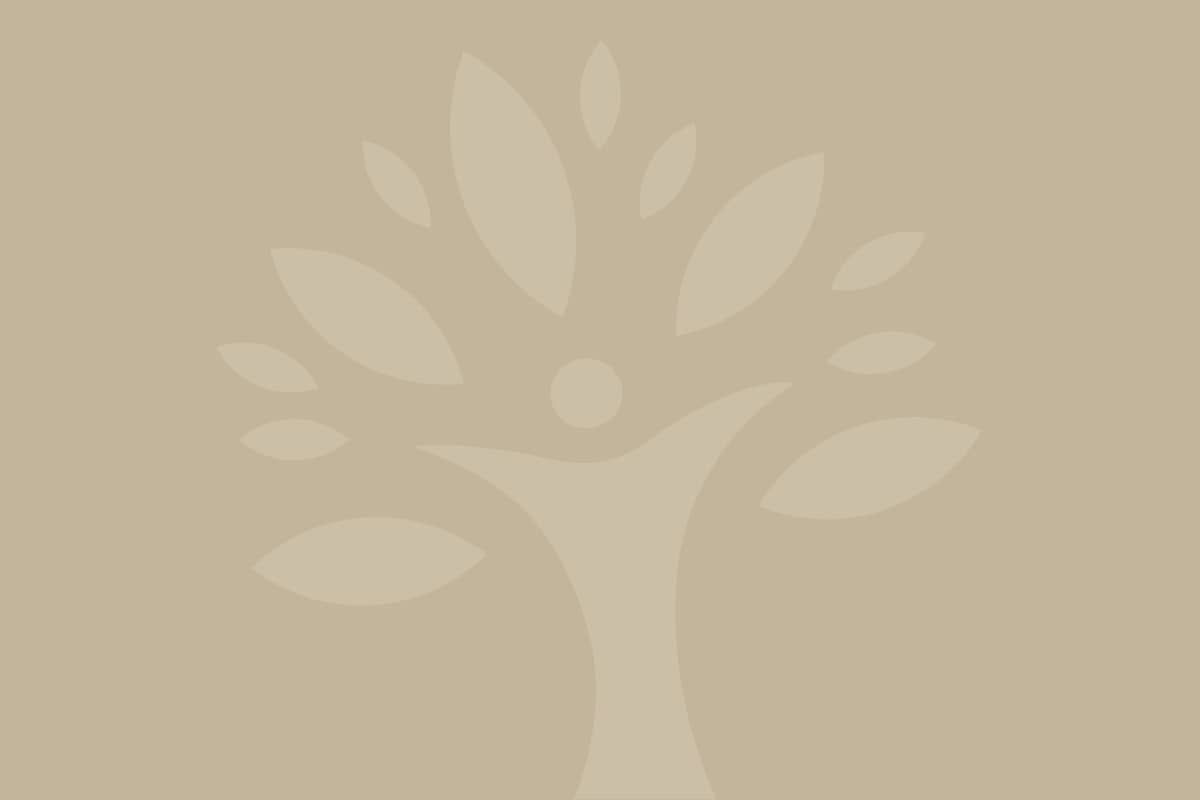 Laveen School District Honored with Healthy Meals Incentives Recognition Award
